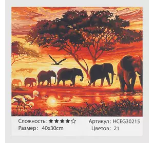 Картини за номерами HCEG 30215 (30) ""TK Group"", ""Африка"", 40*30 см, у коробці