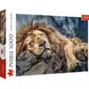 Пазли - (1000 елм.) - "Сплячий лев" / Trefl Пазли - (1000 елм.) - "Сплячий лев" / Trefl