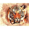 Набір для розпису по номерах Вогняний тигр Strateg розміром 40х50 см (DY128)