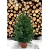 215N/70/G Ялинка Traditional лита 70см в горщику зелена нова 215N/70/G Ялинка Traditional лита 70см в горщику зелена нова