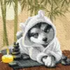 Набір для розпису по номерах. "Час для релаксу" 40х40см Набір для розпису по номерах. "Час для релаксу" 40х40см
