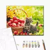 Картина за номерами: Яблучний котик 40х50 Картина за номерами: Яблучний котик 40х50
