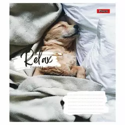 А5/36 кл. 1В Relax choose, зошит для записів А5/36 кл. 1В Relax choose, зошит для записів