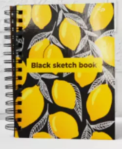 Блокнот TM Profiplan "Black sketch book", A5 one 901418