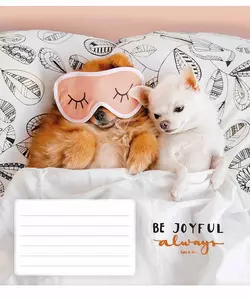 Зошит учнівський, 12арк., у лінію, ВД-лак, Школярик Зошит учнівський, 12арк., у лінію, ВД-лак, Школярик