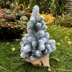 100/50/GS Ялинка Premium лита  50 см в мішковині засніжена 100/50/GS Ялинка Premium лита  50 см в мішковині засніжена