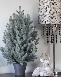 215N/70/B Ялинка Traditional лита 70см в горщику блакитна нова 215N/70/B Ялинка Traditional лита 70см в горщику блакитна нова