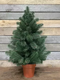 100N/70/G Ялинка Premium лита 70 см в горщику зелена 100N/70/G Ялинка Premium лита 70 см в горщику зелена