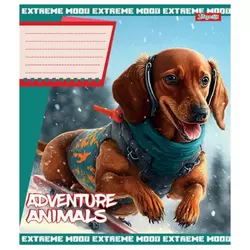 А5/24 лін. 1В Adventure animals, зошит учнів. А5/24 лін. 1В Adventure animals, зошит учнів.