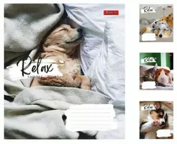 А5/36 лін. 1В Relax choose, зошит для записів А5/36 лін. 1В Relax choose, зошит для записів