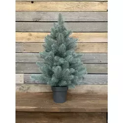 100N/70/B Ялинка Premium лита 70 см в горщику блакитна 100N/70/B Ялинка Premium лита 70 см в горщику блакитна