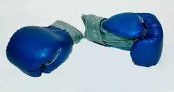 гр Рукавички бокс 10 унцій шкір. зам. (1) ""ТМ JAB"" гр Рукавички бокс 10 унцій шкір. зам. (1) ""ТМ JAB""