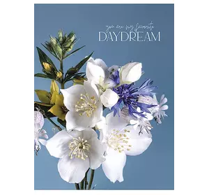 Зошит загальний, скоба, А5/80арк., у лінію, білий блок, 60г/м2, картон, УФ-лак, Student Зошит загальний, скоба, А5/80арк., у лінію, білий блок, 60г/м2, картон, УФ-лак, Student